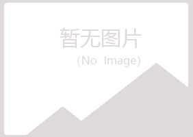 兰山区海安能源有限公司